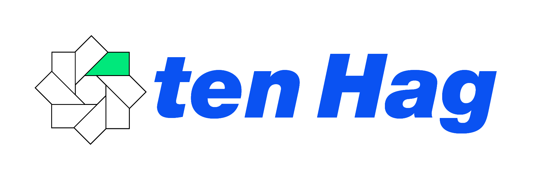 Logo Ten Hag Bedrijfsmakelaars IBG (Enschede)
