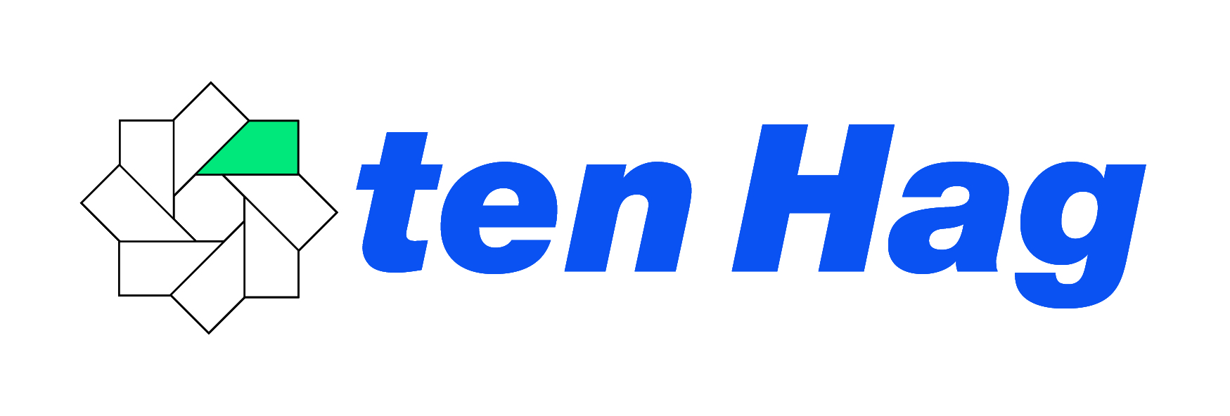 Logo Ten Hag Bedrijfsmakelaars Deventer-Zutphen-Apeldoorn IBG